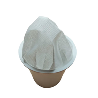 Filtre à café K-Cup biodégradable Fabricants de K-Cup vides Capsule de café compatible vide non tissée en PLA de qualité alimentaire sur mesure