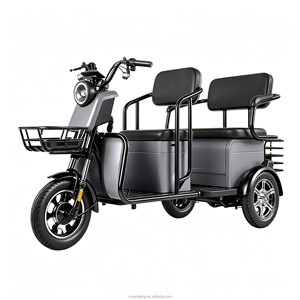 Triciclo de Ocio C2, Fábrica de Exportación, OEM/ODM, Triciclo Eléctrico Transfronterizo - Product Image 1