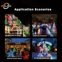 Luce LED 2D da Esterno a Sospensione AC220V IP65 ad Alto CRI Personalizzabile per Decorazioni Natalizie, Diwali, Ramadan, Strade, Città e Uso Commerciale CE RoHS