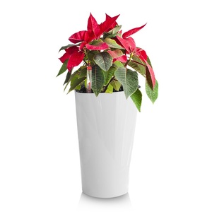 BRICE Wholesale Cheap Modern Nice Design Self Watering Plastic Planter Flower Tall Vase For Balcony Garden Patio Deck