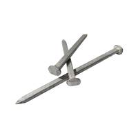 Clavos de hierro duraderos galvanizados con vástago y cabeza cuadrados, clavos cuadrados para embarcaciones de madera