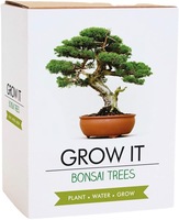 Kit d'arbre bonsaï en gros durable chromé 4 types de bonsaïs différents avec des emballages personnalisés