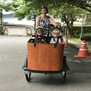Tricycle électrique à suspension, 38 kg, famille, <span class=keywords><strong>vélo</strong></span> <span class=keywords><strong>cargo</strong></span> - Product Image 1