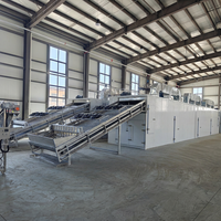 Fabrieksmatige continue mesh-belt fruit- en groentedroger op gas/biomassa, transportbanddroogmachine voor de verwerking van uien en chilipepers.