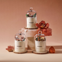 Coffret Cadeau de Bougies Parfumées de Luxe avec Plantes Stabilisées, Roses Séchées Inaltérables, Ensemble de Bougies Parfumées à Froid sous Cloche en Verre