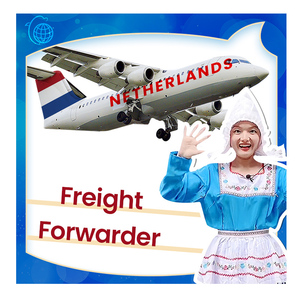 Vận Chuyển Kinh Tế Hà Lan Bằng Tàu Hàng Không Đường Biển Với DDP Từ Trung Quốc Đến Hà Lan Thông Quan Hải Quan - Product Image 6