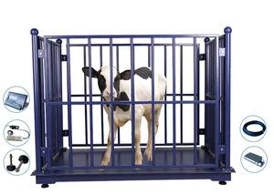 <span class=keywords><strong>1.5</strong></span> टन मवेशी मंजिल वजन तराजू डिजिटल पशुधन सुअर हार्स बकरी के लिए वजन पैमाने वजन समारोह - Product Image 6