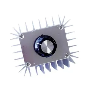 AC220V 5000W 전자 전압 조정기 고출력 실리콘 제어 조절기 온도 조절 및 조명 조정