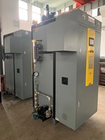 Caldera de Vapor Eléctrica Automática de Baja Presión de Acero al Carbono de 300 kg/h con Circulación Natural Vertical para Hoteles con Monitoreo Remoto