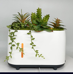 Excellent Quality Aromatherapy <b>Diffuser</b> <b>Ultrasonic</b> Home Aromatherapy Humidifier USB Power Station Aromatherapy C Charging - Product Image 2