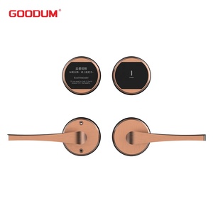 पोर्टेबल होटल शैली दरवाजा सुरक्षित लॉक सुरक्षा यात्रा होटल वाणिज्यिक अपार्टमेंट होटल डिजिटल दरवाजा लॉक - Product Image 2