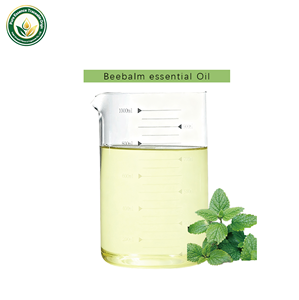100% Reines Beebalm Ätherisches Öl (<span class=keywords><strong>Monarda</strong></span> <span class=keywords><strong>Didyma</strong></span>) Kräuterqualität Frisches Zitrusaroma Großhandel Hautpflege Kosmetik OEM - Product Image 2