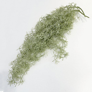 <span class=keywords><strong>GM</strong></span> Live musgo español interior falso colgante suculentas vides artificiales falsas con maceta de decoración verde para arbustos plantas de interior - Product Image 4