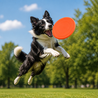 Jouets pour animaux de compagnie en silicone personnalisés, disque volant souple et durable, disque flottant pour enfants, jeu interactif de sport en plein air