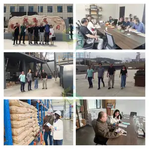 अपशिष्ट जल उपचार के लिए कई प्रकार कैनिनिक पॉलीएक्रिलामाइड सीपम पाउडर अपशिष्ट जल उपचार के लिए - Product Image 5