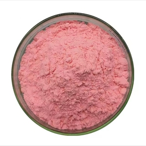 Polvo de jugo de fruta de <span class=keywords><strong>sandía</strong></span> instantánea orgánica liofilizada con solubilidad en agua Natural pura - Product Image 2