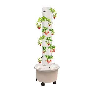 सब्जियों स्ट्रॉबेरी के लिए कल्टीवेशन वर्टिकल हाइड्रोपोनिक ग्रोइंग सिस्टम टॉवर