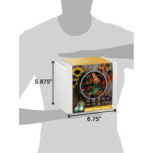 Kit de fleurs comestibles de luxe, Kit de culture de plantes de tournesol, support de <span class=keywords><strong>Pot</strong></span> de fleur pour la maison et le jardin - Product Image 4