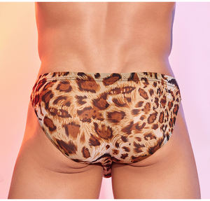 Sous-vêtement string séduisant imprimé léopard pour homme, sauvage et sexy, taille basse, transparent, tendance, sous-vêtements européens et américains. - Product Image 2