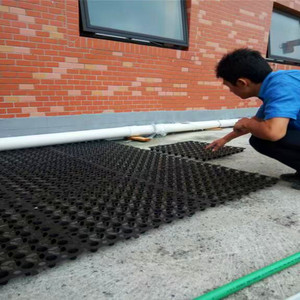 緑化景観屋上庭駐車場草補強プラスチックHDPE排水水フィルターボード - Product Image 4