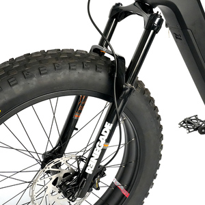 Bicicleta Eléctrica Leili de 26 Pulgadas, Bicicleta Eléctrica Todoterreno, Bicicleta de Nieve, Motor Bafang M620, 48V 1000W, Cuadro de Carbono, Neumáticos Anchos, Bicicleta de Montaña - Product Image 5