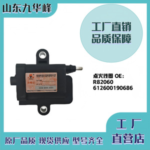 Bobina de encendido Torch DQR2260 R82060 para motor Weichai LNG WP10 WP12 - Product Image 5