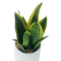 Tanaman Ular Buatan 25cm dalam Pot, Sansevieria Palsu 9 Daun, Terlihat Seperti Asli dengan Pot Putih untuk Dekorasi Rumah sebagai Pusat Perhatian