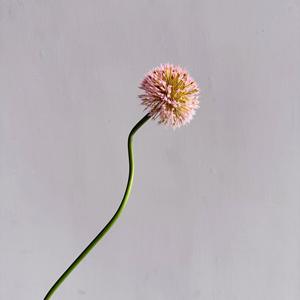 Fleur de boule de neige en <span class=keywords><strong>allium</strong></span> réaliste, durable, faite à la main, en plastique souple - Product Image 6