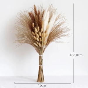 Adorno de hierba de Pampa grande y corta al por mayor, flores decorativas secas conservadas naturales para la Navidad, adornos navideños reales - Product Image 2