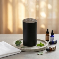 Diffuseur d'huiles essentielles portable sans eau, rechargeable, pour la maison, la voiture, la chambre, le studio, le bureau