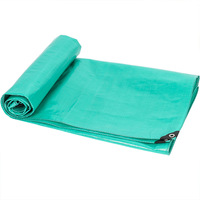 Bâche en plastique laminé HDPE à bas prix, couverture de piscine résistante aux UV, imperméable, bâche en PE