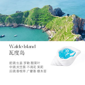 Bougie en cire de soja parfumée Dreamy Atmospheric Conch Cadeau créatif pour Noël, vacances, anniversaire, ornement, parfum - Product Image 6