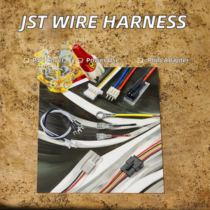 JST 2-16针 2.0mm 间距电源线束公母连接器 PVC 绝缘线 AWG 用于汽车电子用途 ODM/OEM - Product Image 2