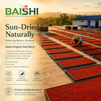 Baies de Goji Ningxia Première Récolte 230 Grains Vente en Gros Direct Usine Jumbo Séchées AD Sans Soufre Biologiques Qualité Supérieure Fournisseurs Santé