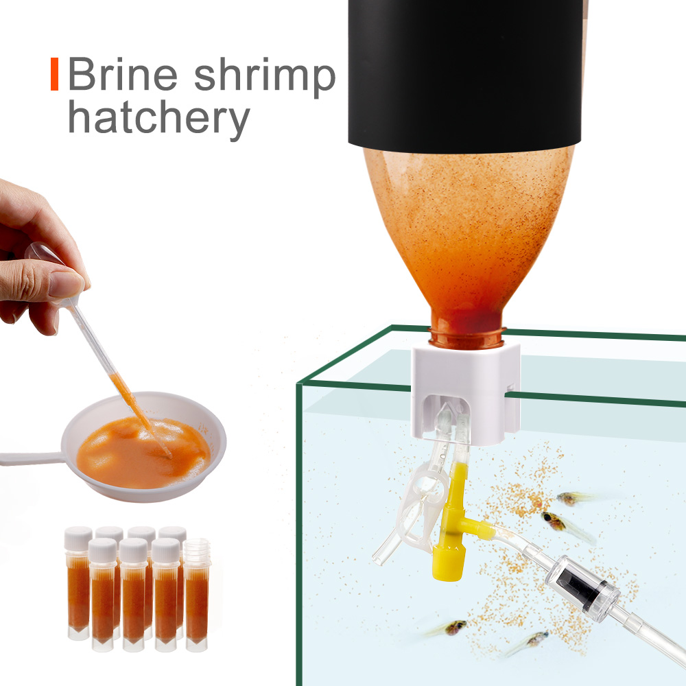 Brine Shrimp Eggs Incubator Hatchery - DIY Aquarium Tool
