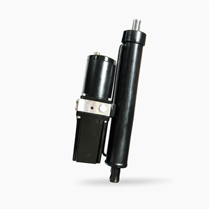 Tige de poussée hydraulique électrique DC TGH50-300 en fonte pour équipement de levage - Product Image 1
