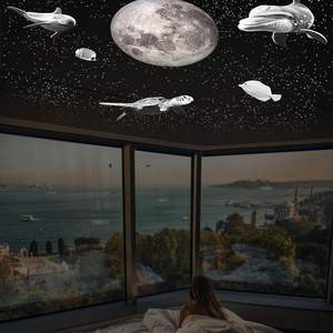 2025 nuova lente ad alta definizione cavo USB atmosfera luce notturna luna vita marina stelle galassia proiettore notte per il veicolo-montato - Product Image 3