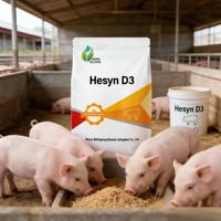 Additif alimentaire enzymatique probiotique pour porcs et porcelets, améliore la croissance et la consommation d'aliments, Hesyn D3, santé intestinale des porcelets, réduit les odeurs