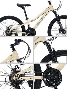 Bicicletta da Montagna in Acciaio al Carbonio a 21 Velocità con Forcella Ammortizzata, Freni a Disco, Telaio Verniciato UV, Cerchi in Lega, Pneumatici 2.35 - Sud-Est Asiatico - Product Image 5