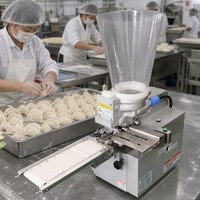 Machine à former les raviolis en promotion, grande machine automatique pour la fabrication d'empanadas, de petits raviolis, de samosas et de gyozas - Prix