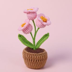Wholesale Set of Handmade <b>Crochet</b> Hooks Knitting Flower Materials <b>Crochet</b> <b>Kit</b> for <b>Beginners</b> Adults and Kids for Christmas - Product Image 4