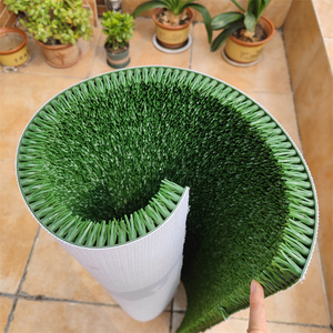 Tapis dragon pour arroser les tapis, idéal pour l'été - Product Image 1