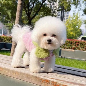 Chaleco para mascotas para gatos y perros, abrigo cálido de invierno de algodón de felpa, diseño de zanahoria, ropa cómoda y usable para mascotas pequeñas - Product Image 2
