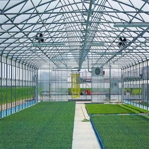 Commercial Agricultural Double Layer Greenhouse Hot Galvanized Steel <b>Frame</b> 150/200 Micro PE Film Roof and Side Plastic Cover - Product Image 2