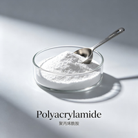 Polvo de Poliacrilamida Soluble en Agua para Clarificación de Aguas Residuales, Sedimentación y Proceso de Floculación