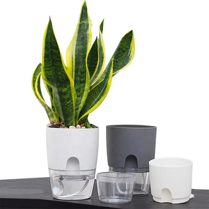 Macetas hidropónicas <span class=keywords><strong>de</strong></span> plástico transparente <span class=keywords><strong>de</strong></span> doble capa para el jardín del hogar, <span class=keywords><strong>maceta</strong></span> <span class=keywords><strong>de</strong></span> absorción <span class=keywords><strong>de</strong></span> agua automática con cuerda <span class=keywords><strong>de</strong></span> algodón - Product Image 1