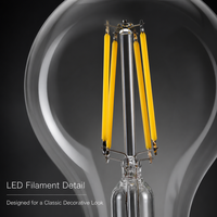 Ampoule à filament LED A60 personnalisée, résistante aux hautes températures, anti-choc, lampe vintage avec couleur de filament réglable
