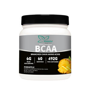 Suppléments nutritionnels d'acides aminés à chaîne ramifiée OEM Sports Pre Post Workout BCAA Powder 2:1:1 Adult Endurance Recovery Energy - Product Image 1