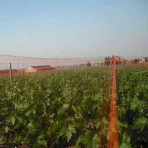 Vườn Ong mật độ cao chống chim Thiết kế hiệu quả kiểm soát dịch hại giải pháp dâu tây lĩnh vực chim bảo vệ Net, chim bằng chứng Net - Product Image 6