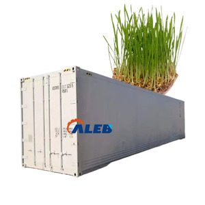 Heißer Verkauf: 40-Fuß-Hydroponik-Futteranbausystem im Container – Gewächshaus für die Landwirtschaft im Container - Product Image 1